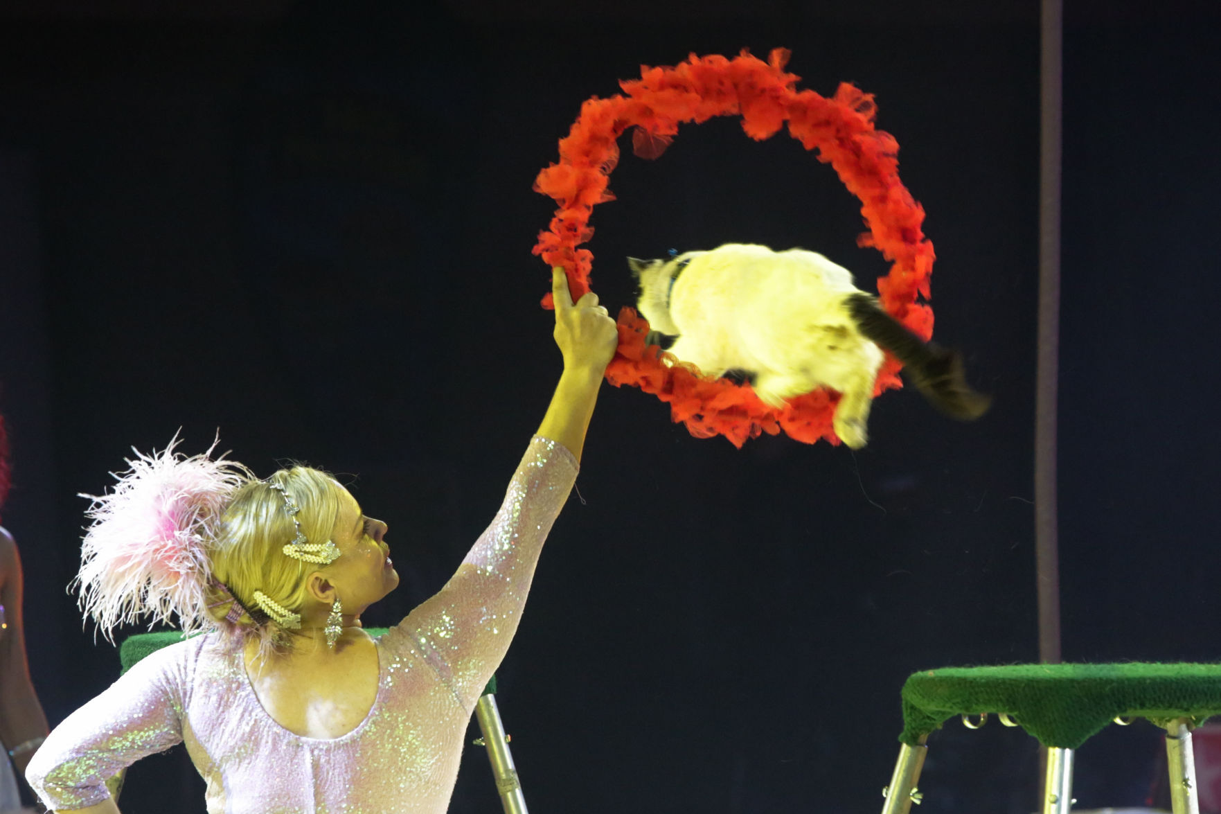 112821-nws-circus 20.jpg
